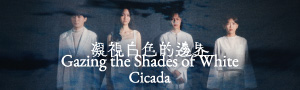 凝視白色的邊界｜Cicada