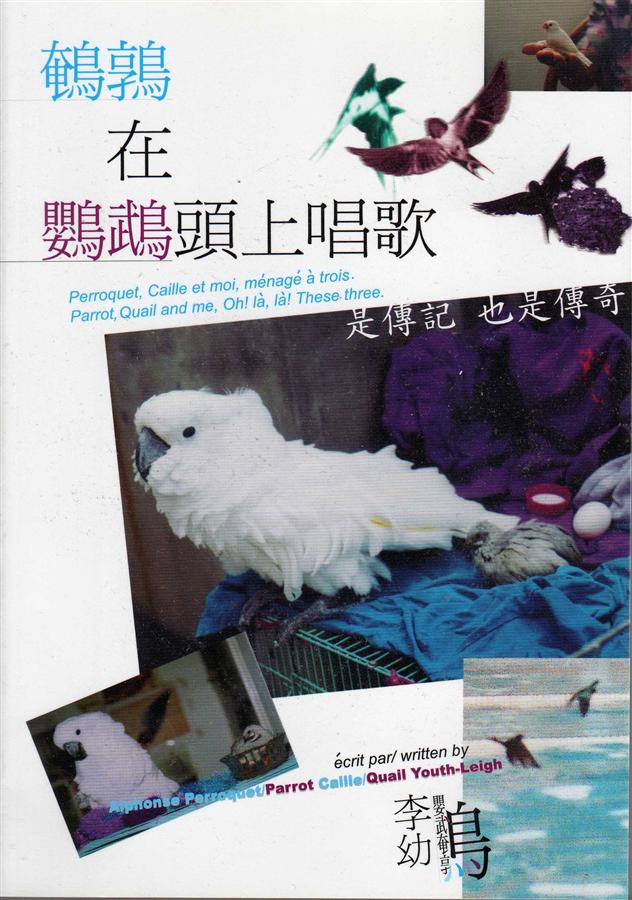 鵪鶉在鸚鵡頭上唱歌