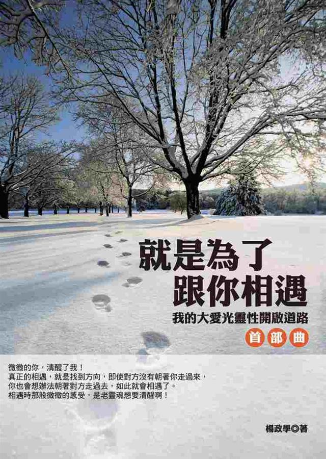 就是為了跟你相遇: 我的大愛光靈性開啟道路