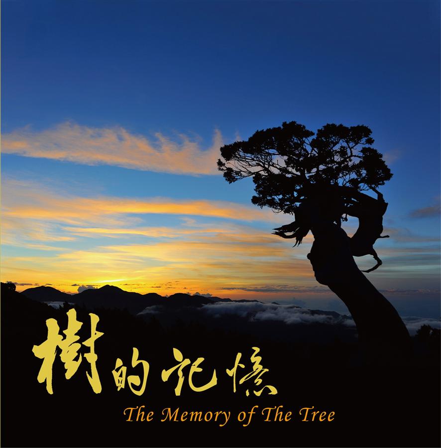 樹的記憶