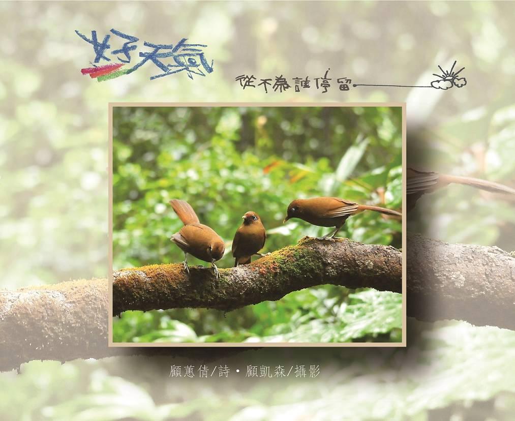 好天氣, 從不為誰停留