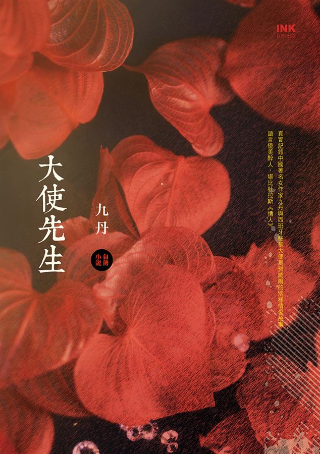 大使先生