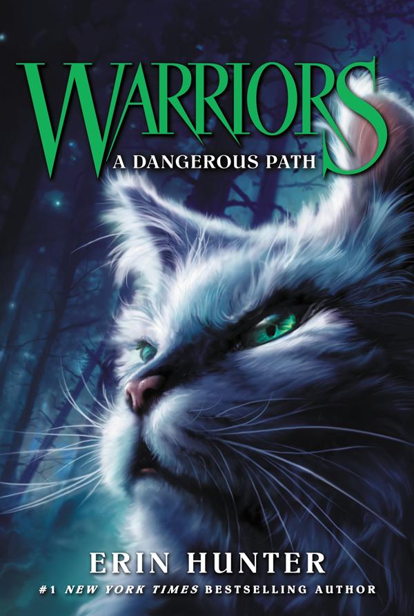 Warriors 5: A Dangerous Path (Revised Ed.)