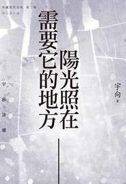陽光照在需要它的地方: 宇向詩選