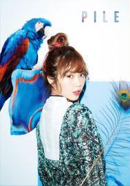 PILE同名專輯 (初回限定盤+DVD)
