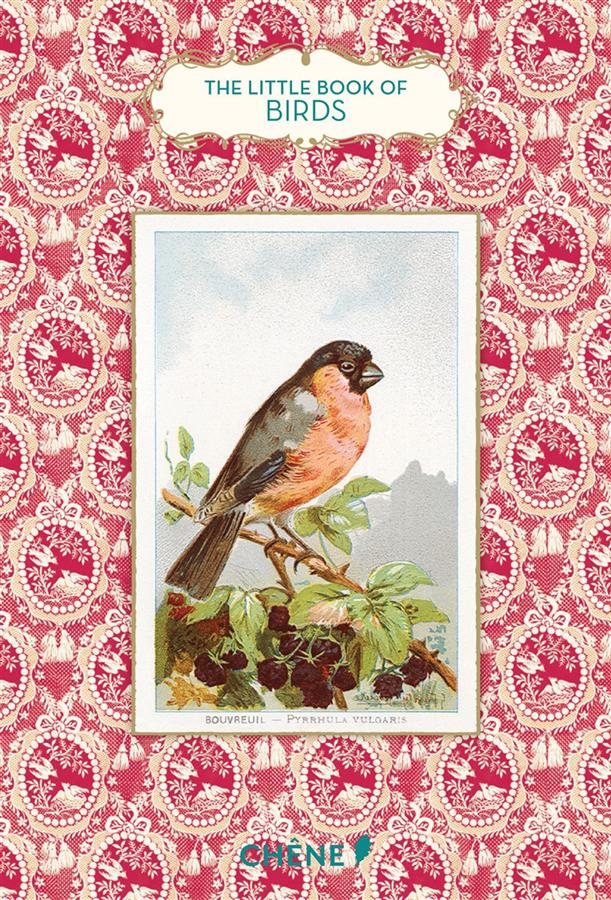 The Little Book of Birds