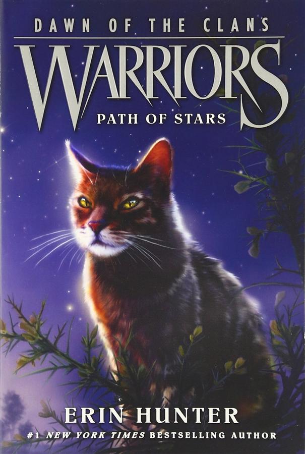 Warriors: Dawn of the Clans 6: Path of Stars