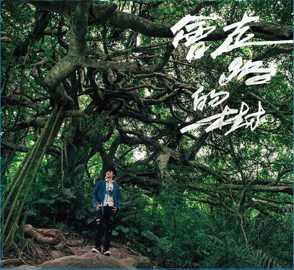 會走路的樹