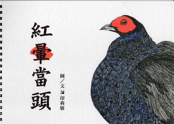紅暈當頭: 陪黑長尾雉散步