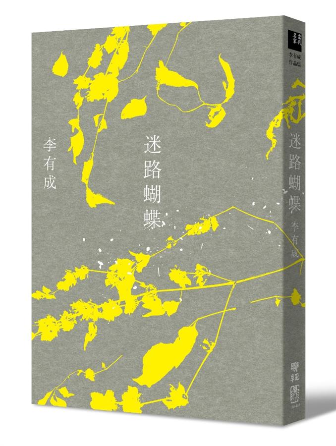 迷路蝴蝶