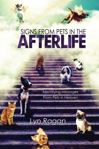 Signs from Pets in the Afterlife: Identifying Messages from Pets in Heaven