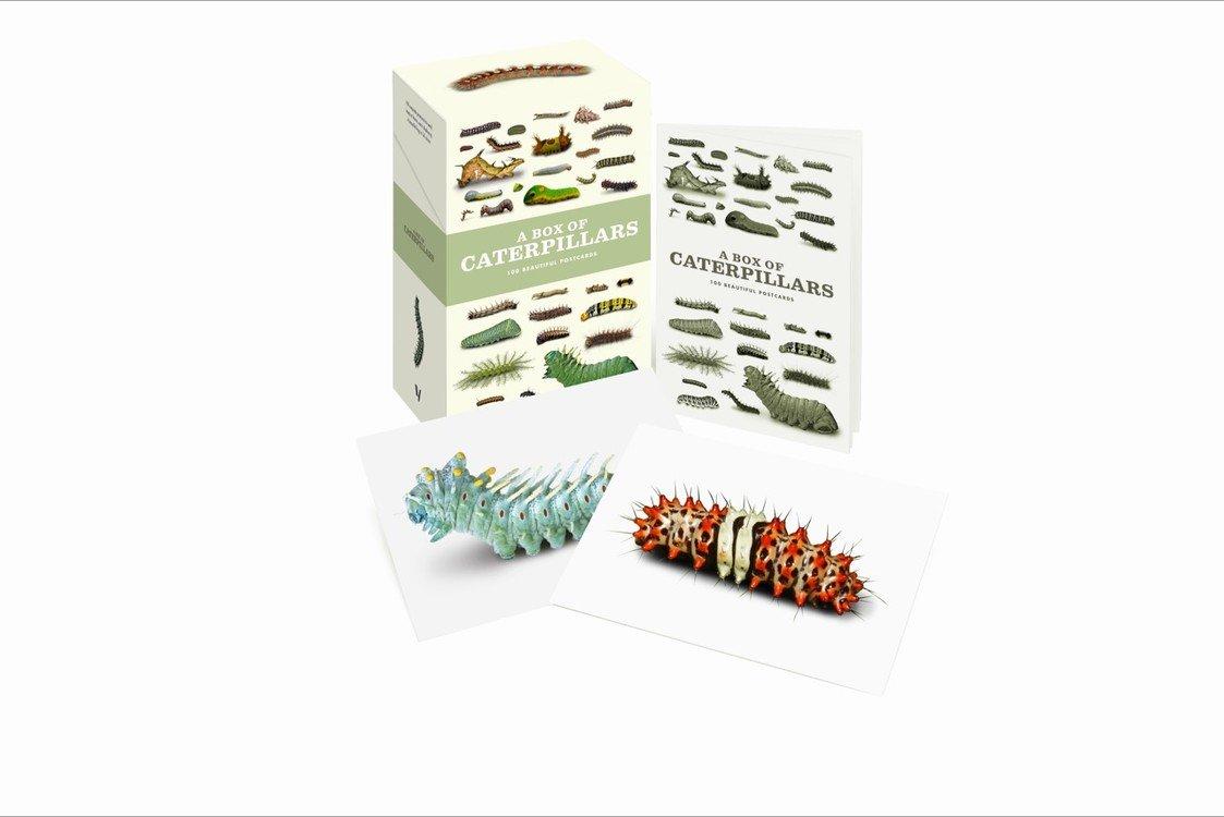 A Box of Caterpillars: 100 Beautiful Postcards