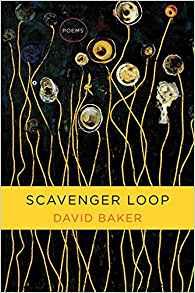 Scavenger Loop: Poems