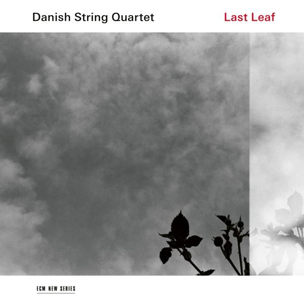 Last Leaf (180g Vinyl)