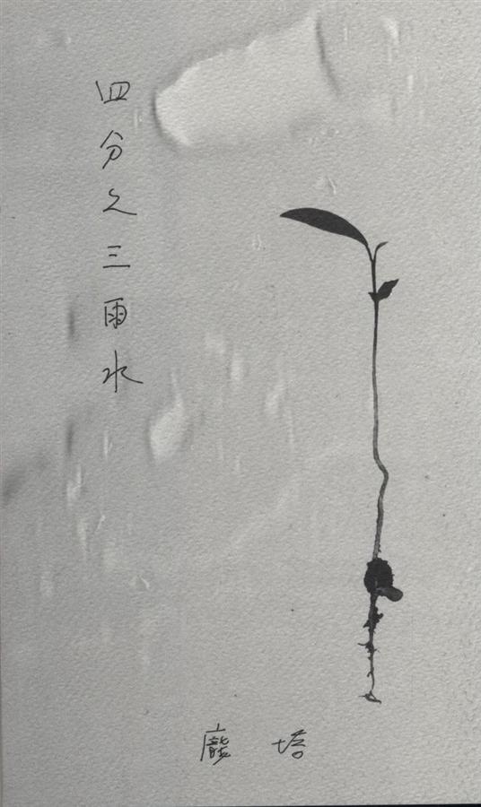 四分之三雨水