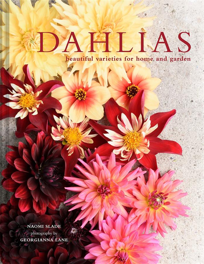 Dahlias: Beautiful Varieties for Home and Garden
