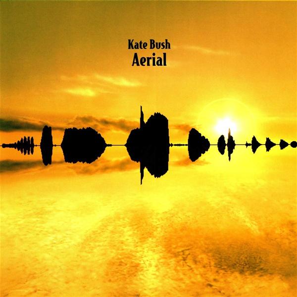 Aerial (2LP/180g Vinyl)