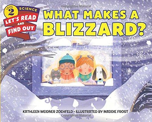 What Makes a Blizzard?