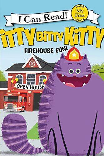 Itty Bitty Firehouse Kitty
