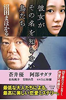 彼女がその名を知らない鳥たち (文庫)