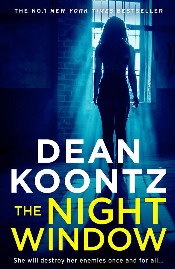 Jane Hawk Thriller 5: The Night Window
