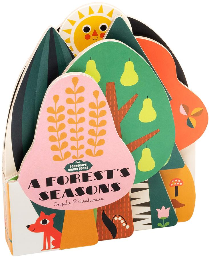 A Forest's Seasons