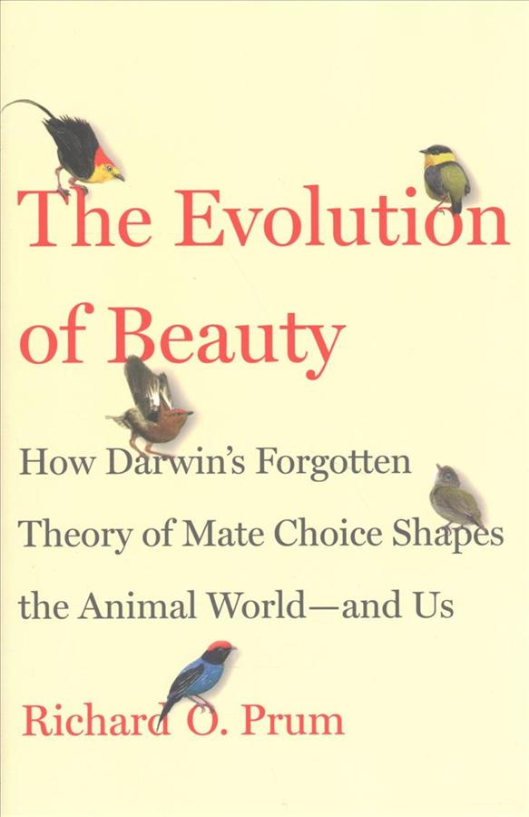 The Evolution of Beauty: How Darwin's Forgotten Theory of Mate Choice Shapes the Animal World and Us