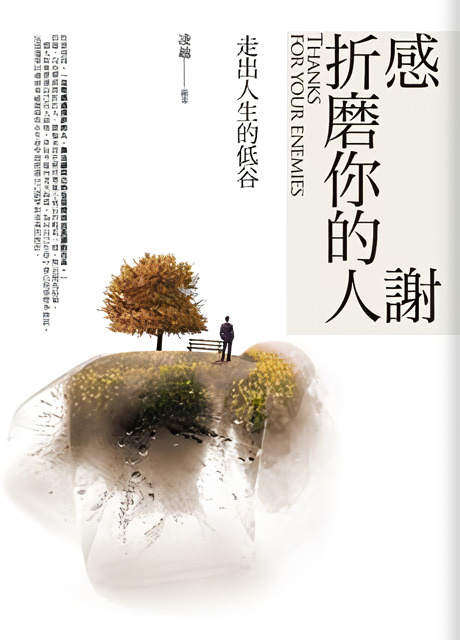 感謝折磨你的人: 走出人生的低谷