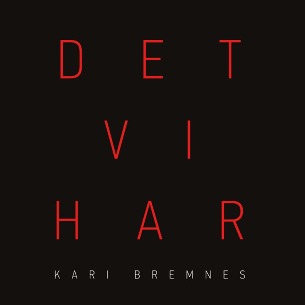 Det Vi Har (2LP)