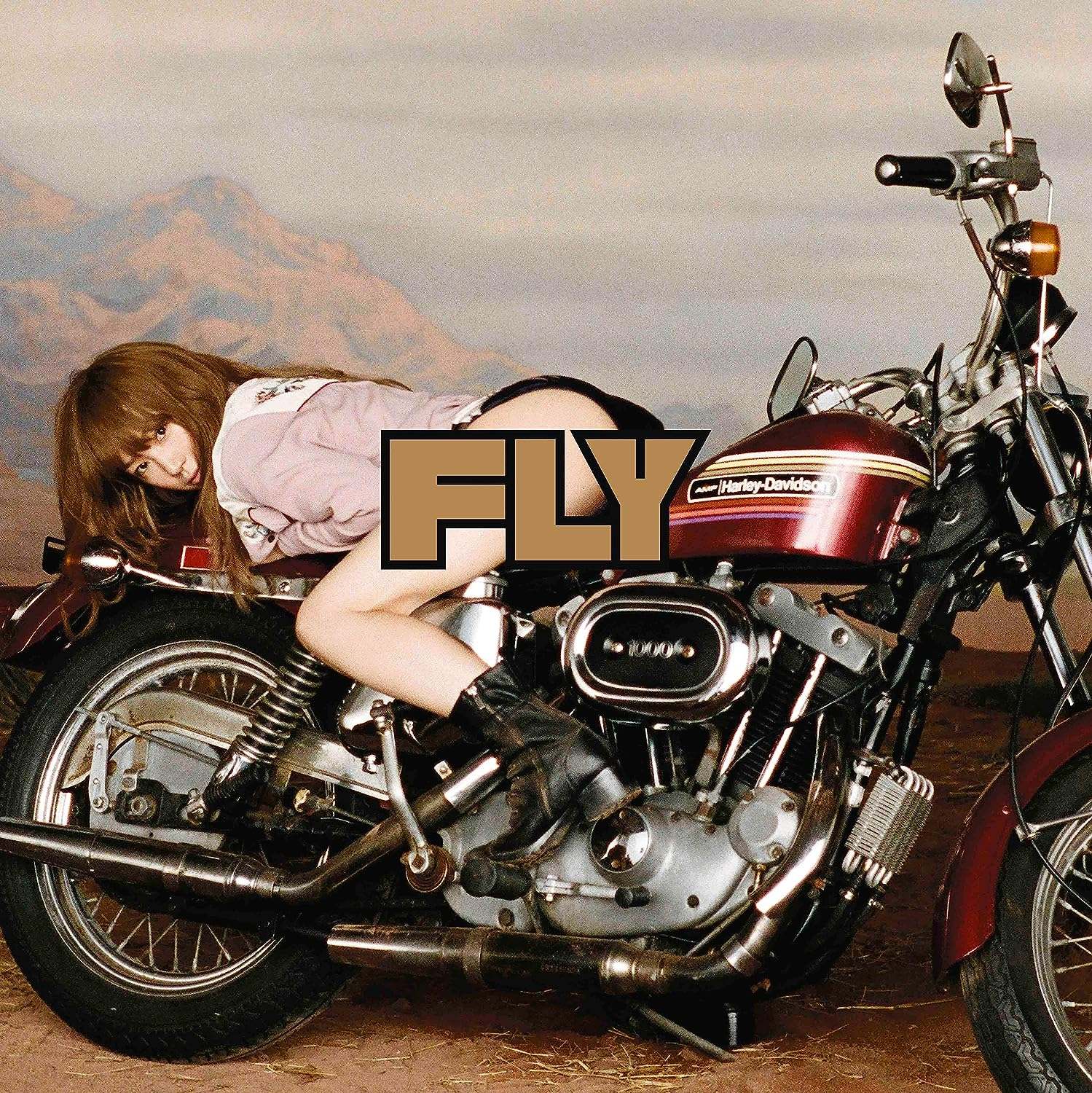 Fly (2LP/完全生産限定盤)