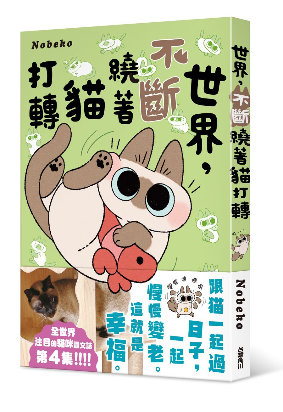 世界, 不斷繞著貓打轉