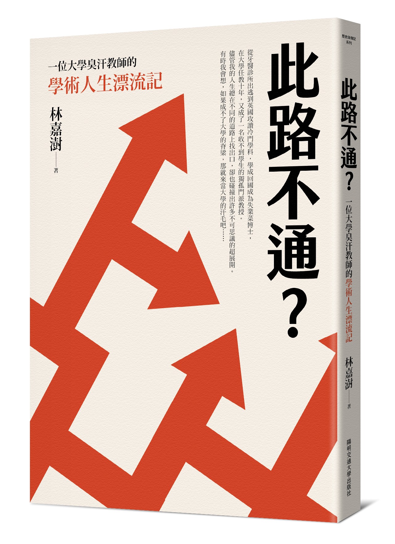 此路不通? 一位大學臭汗教師的學術人生漂流記