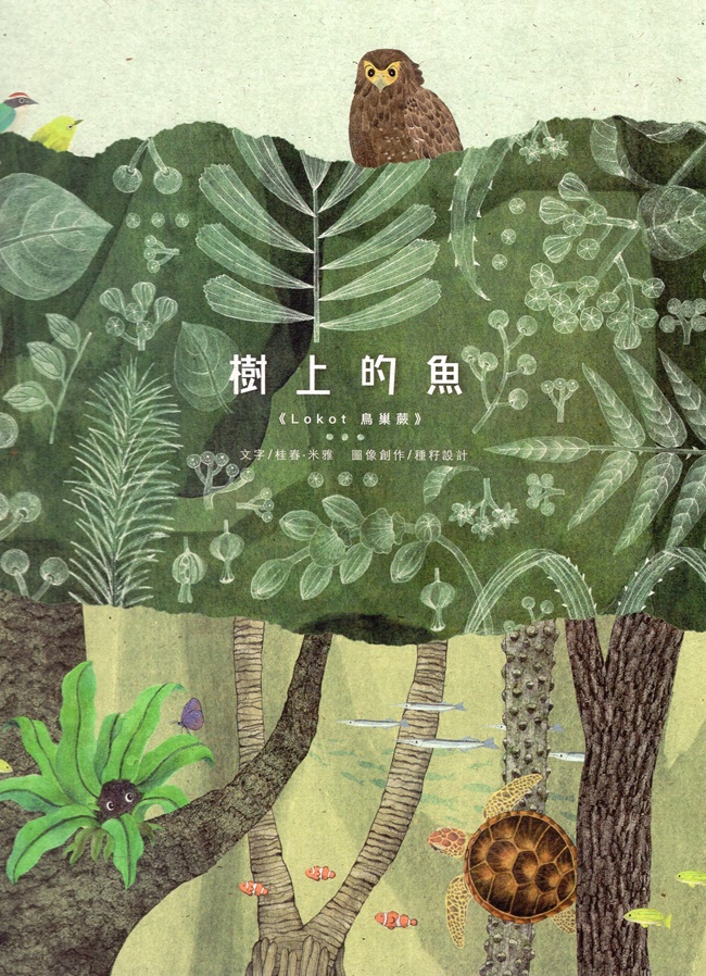 樹上的魚: Lokot鳥巢蕨