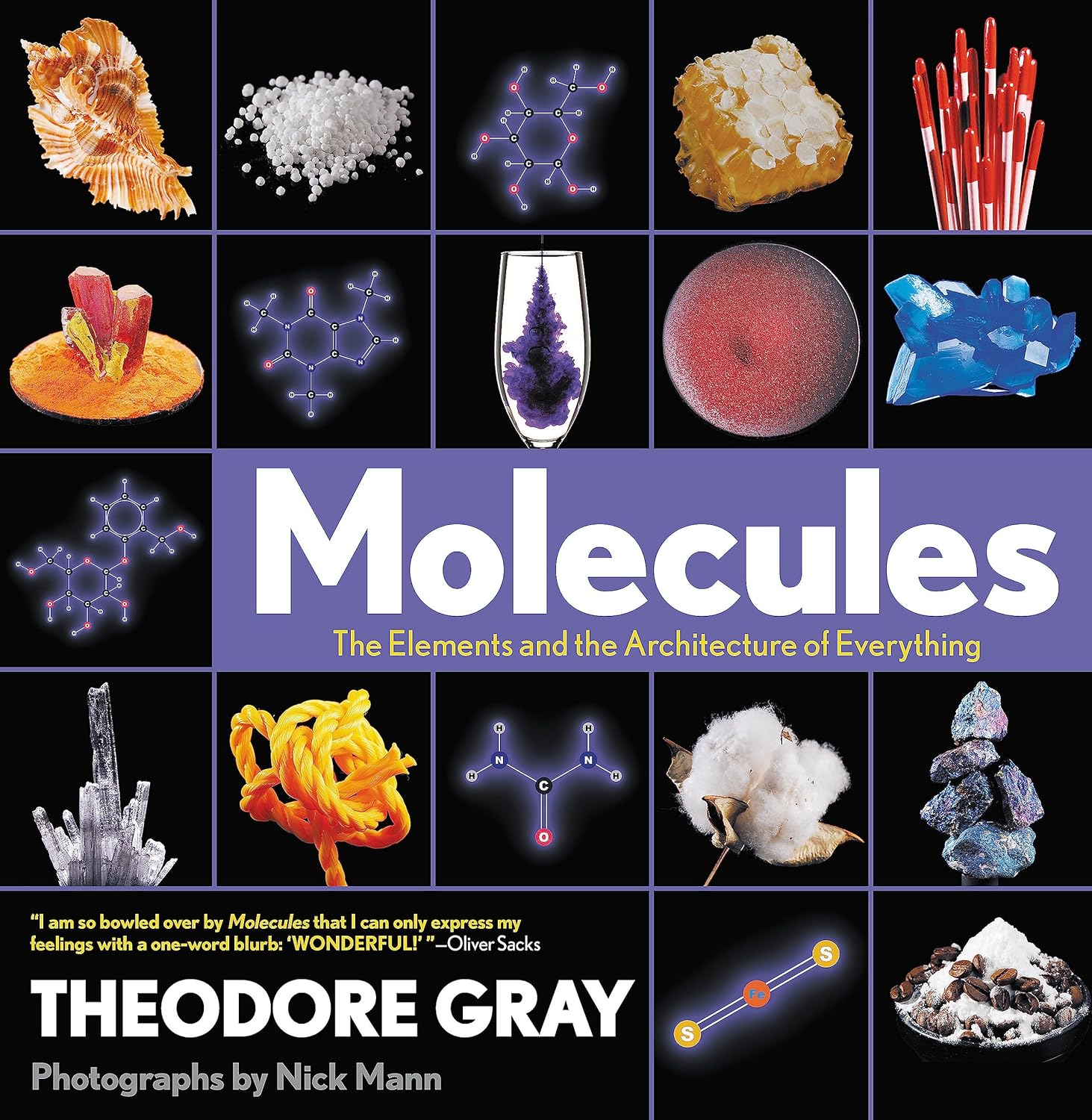 Molecules: The Elements and the Architecture of Everything