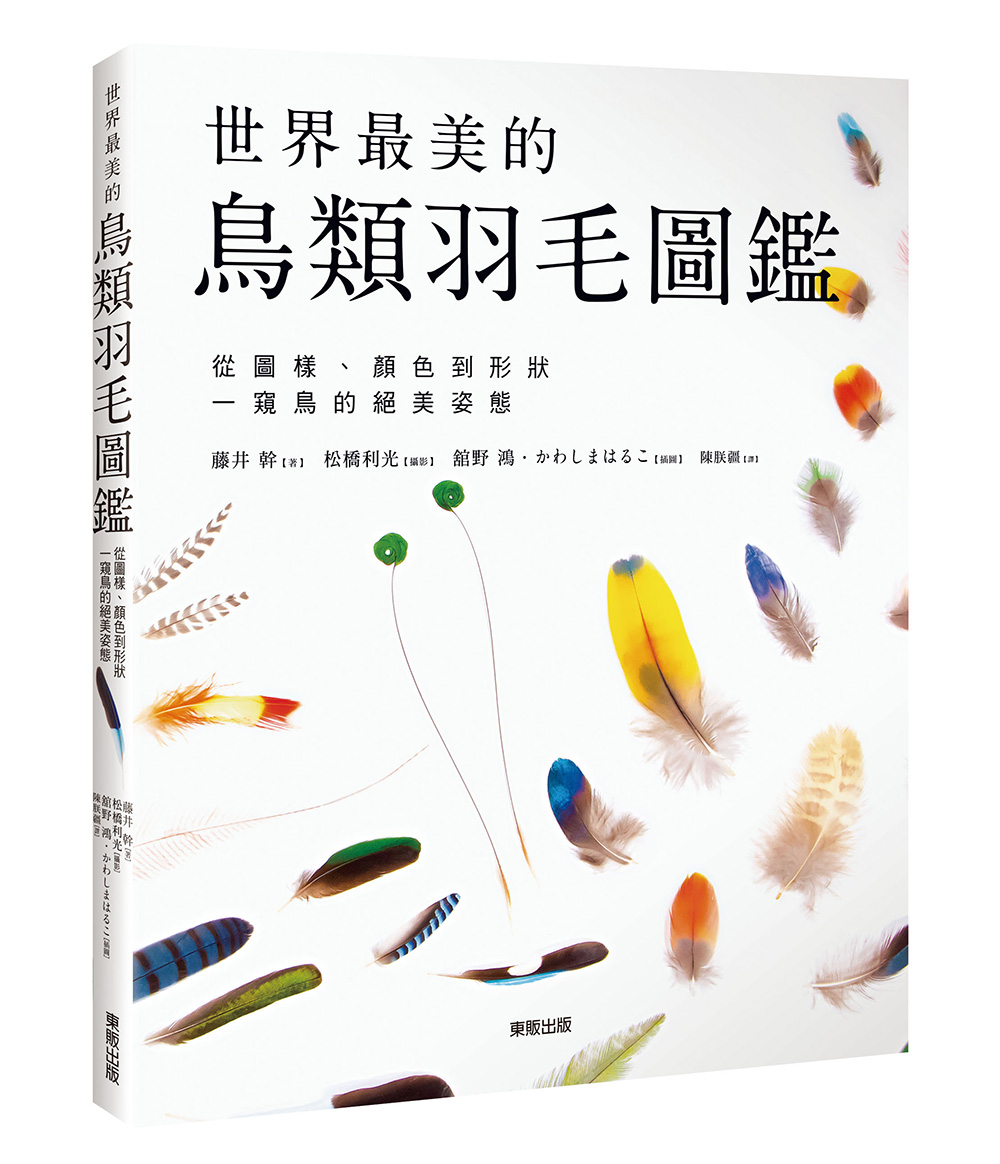 世界最美的鳥類羽毛圖鑑: 從圖樣、顏色到形狀一窺鳥的絕美姿態