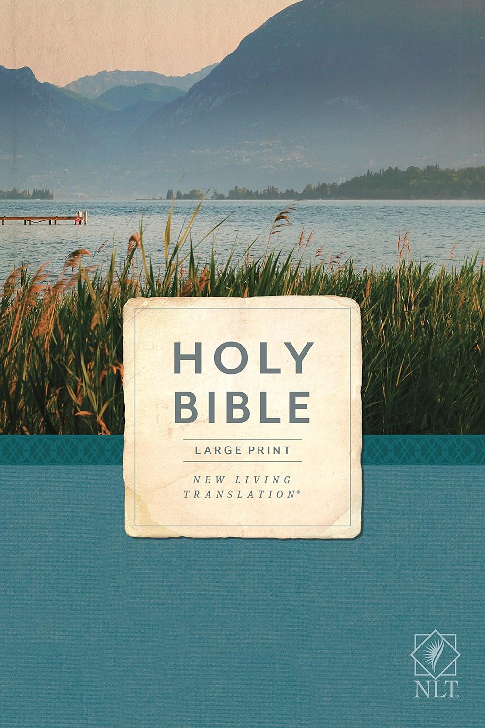 Holy Bible (Economy Outreach Large Print Ed./NLT)