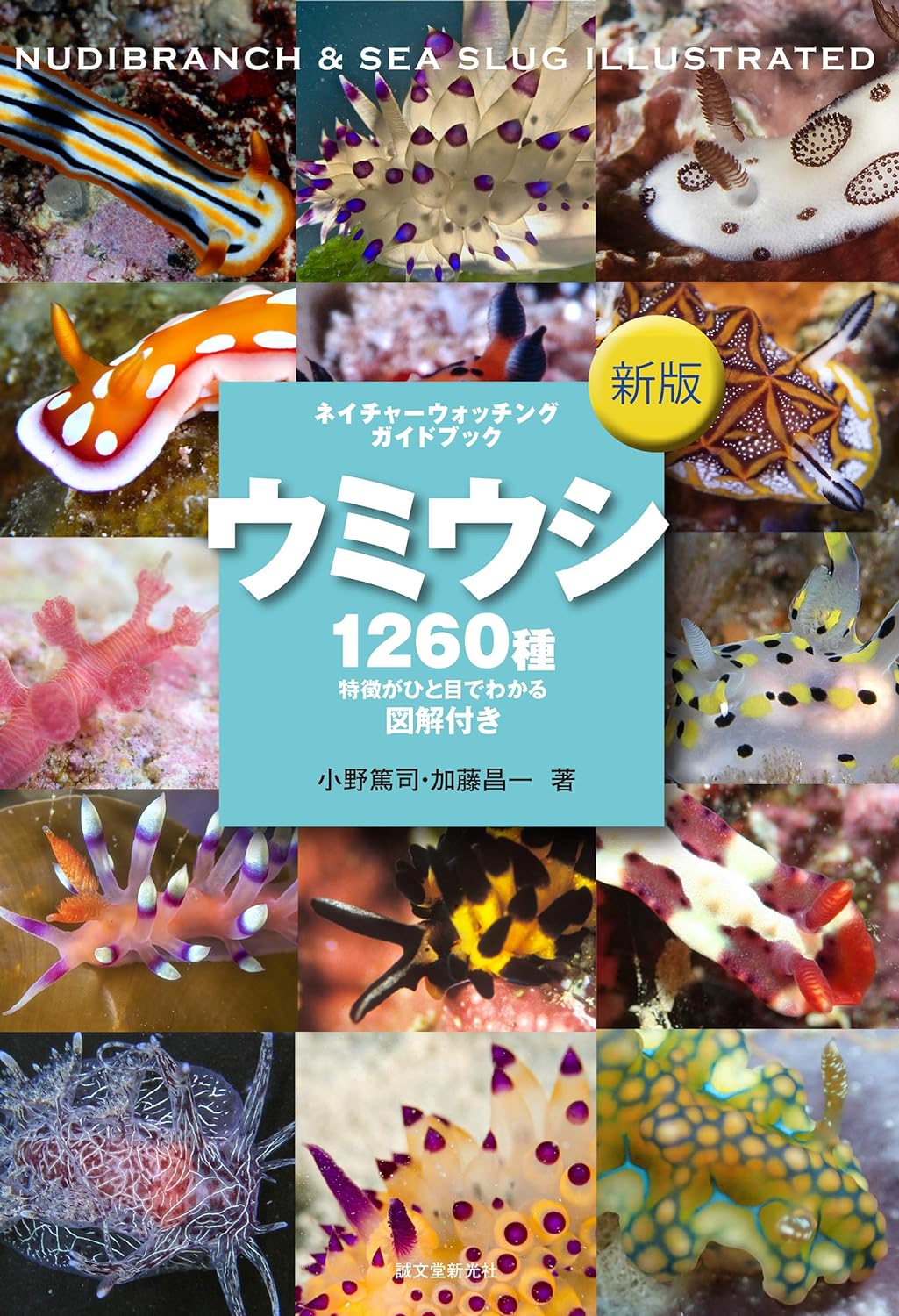 本 スズメダイ (ネイチャーウォッチングガイドブック)
