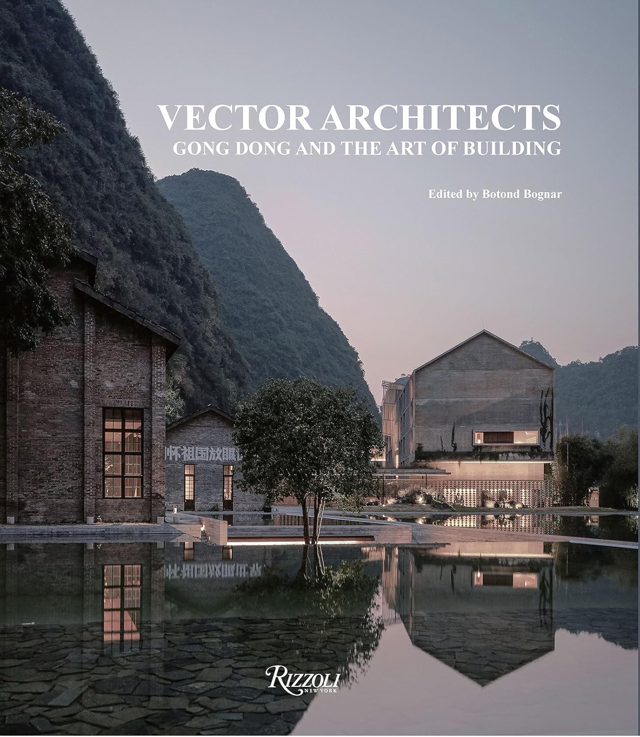 Vector Architects: Gong Dong and the Art of Building | 誠品線上