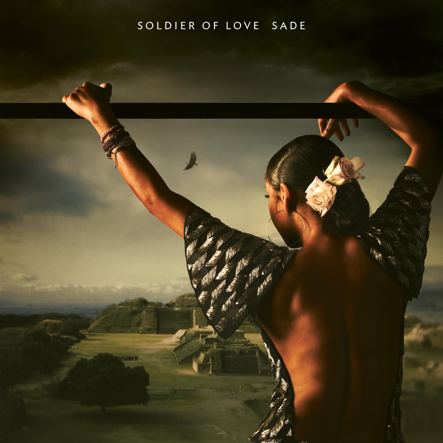 Soldier of Love (Half-Speed Mastering)