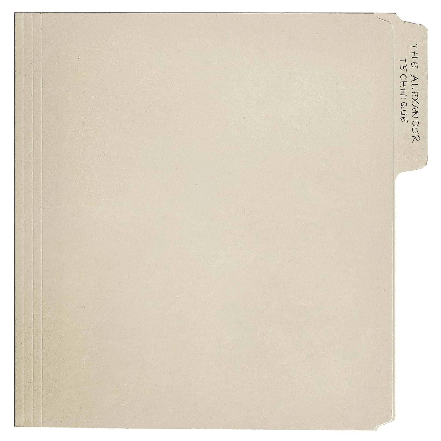 The Alexander Technique (2LP)