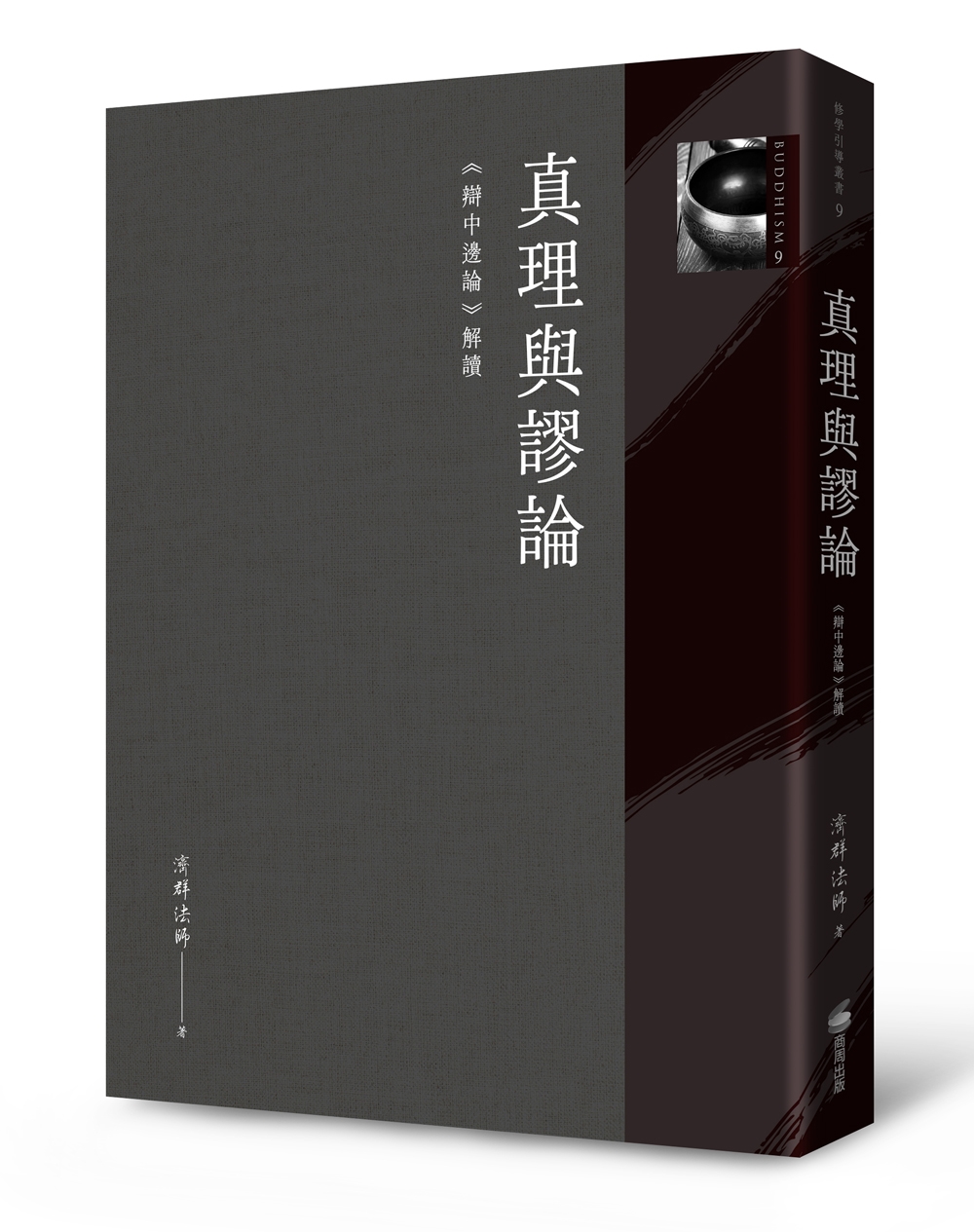 真理與謬論: 辯中邊論解讀