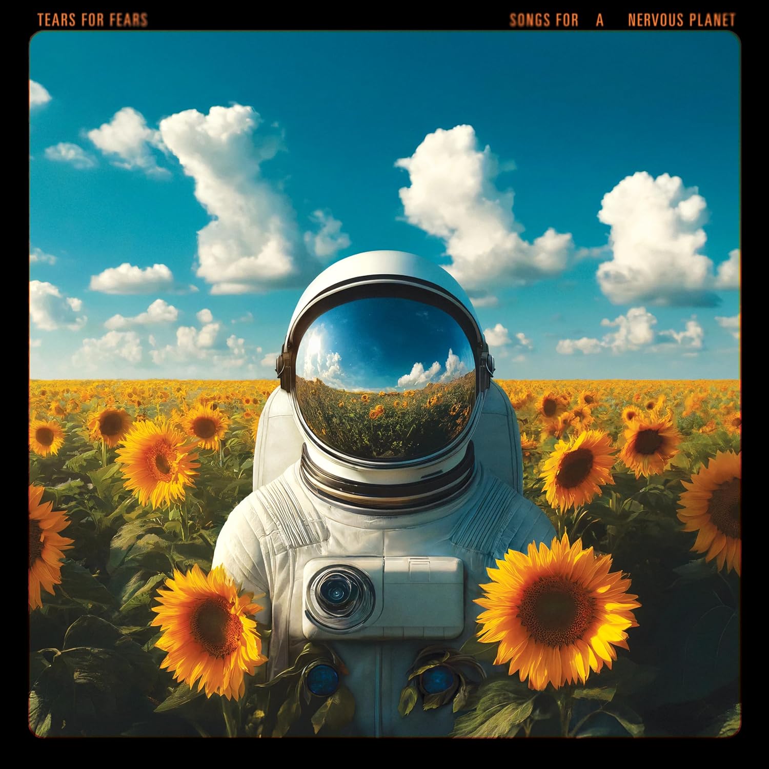 Songs For A Nervous Planet (2LP)
