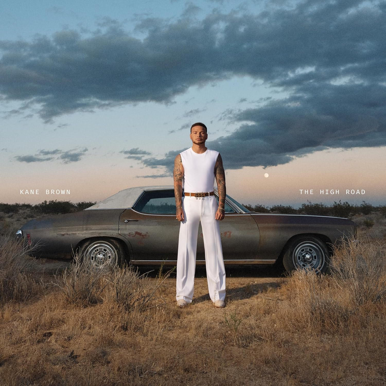 The High Road (2LP/Black & White Swirl Vinyl)