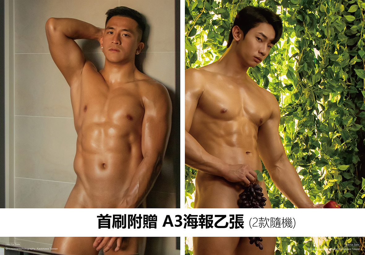 贈品說明圖