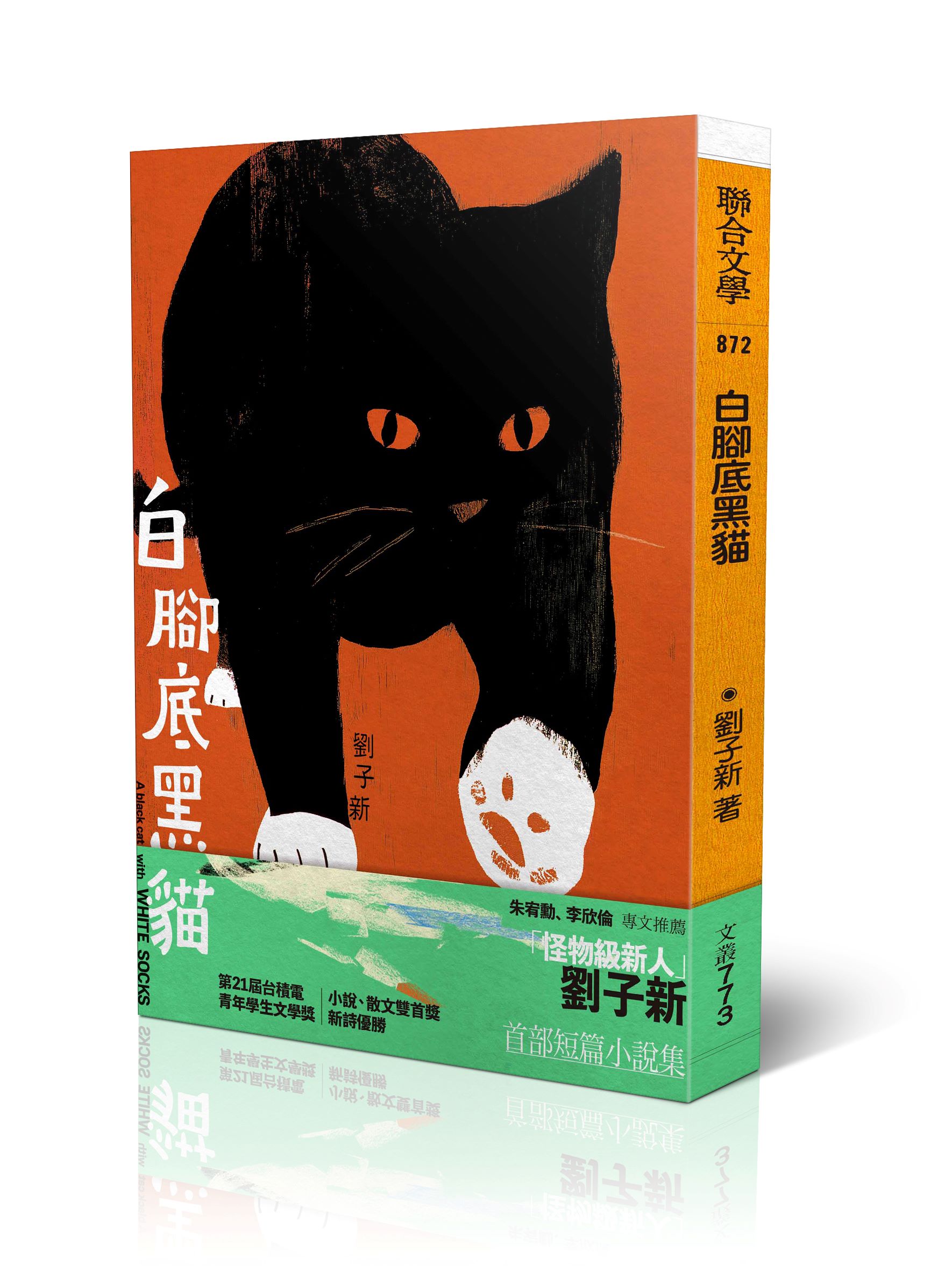 白腳底黑貓