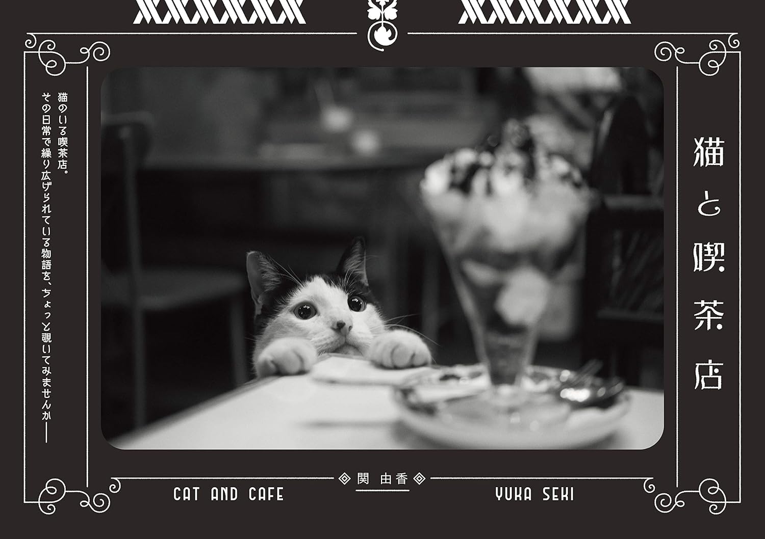 猫と喫茶店