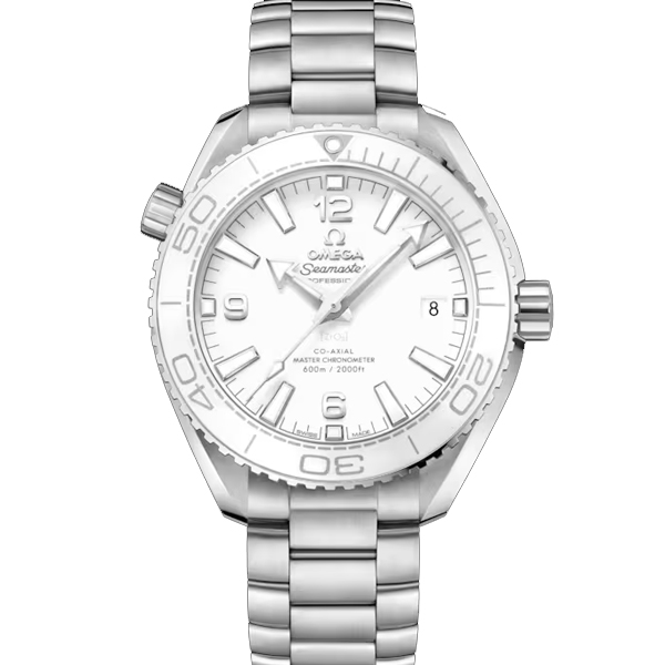 【OMEGA 歐米茄】海馬系列 潛水六百米 海馬鍊帶款 39.5mm