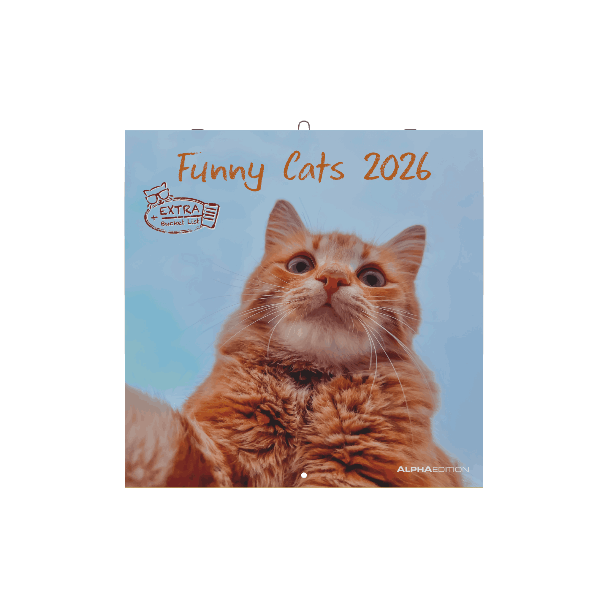 2026德國 ALPHAEDITION 掛曆/ Grid/ Funny Cats