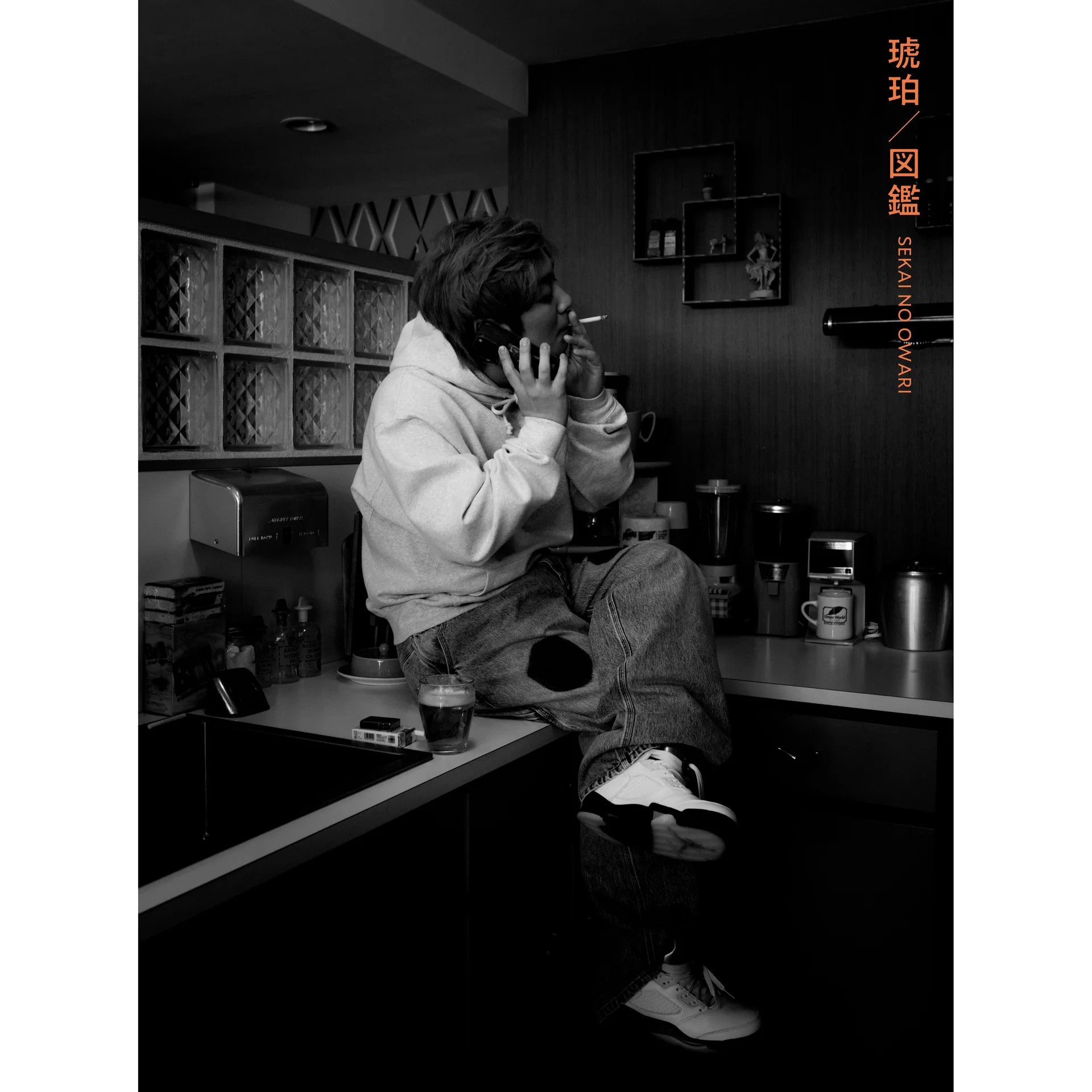 琥珀/図鑑 (CD+DVD/環球官方進口初回限定盤A)