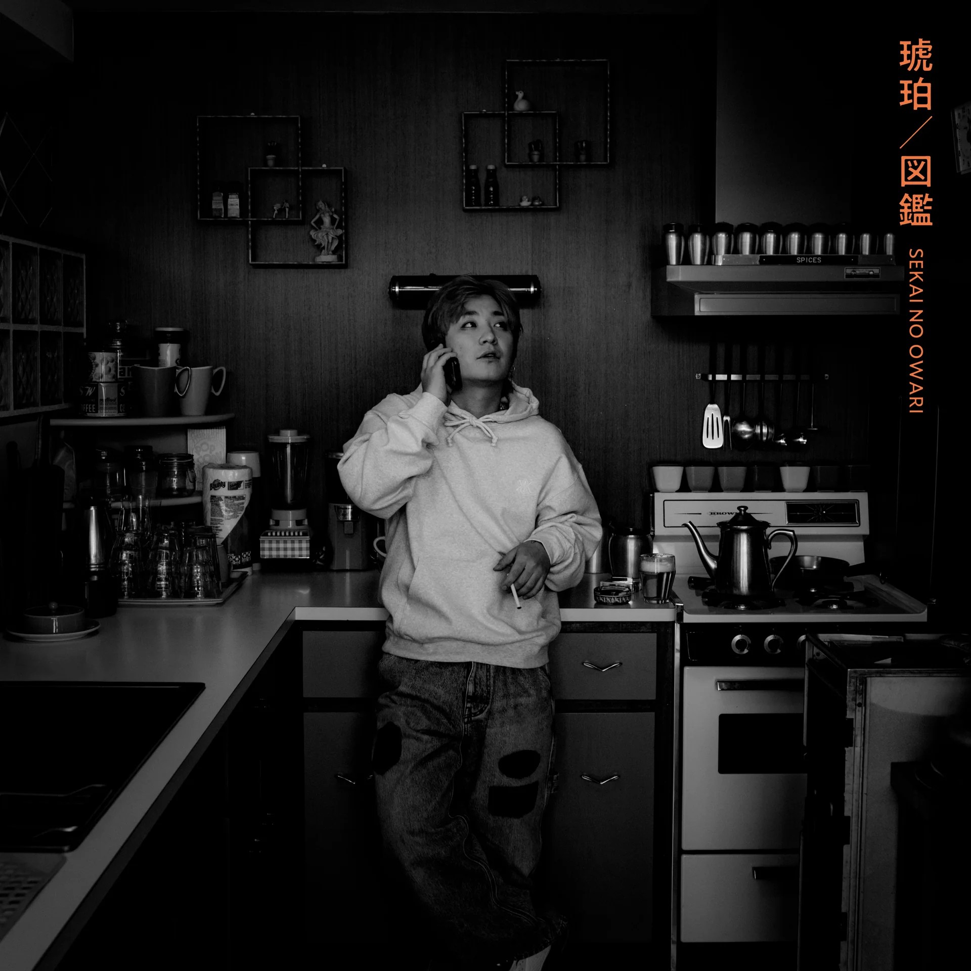 琥珀/図鑑 (環球官方進口通常盤A)